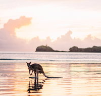 Cape Hillsborough  A Low Tide Fishing Adventure - Accommodation Gold Coast