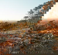 Chick Hill Walk - Accommodation Gold Coast