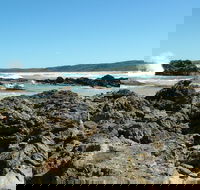 Coastal Walks - Bermagui - Accommodation Gold Coast