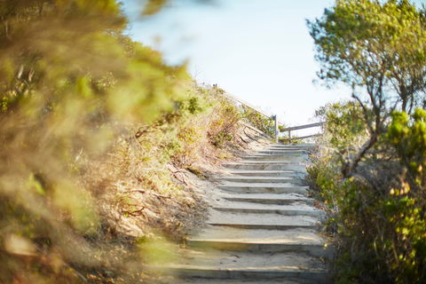 Coppins Walk Track (part Of The Coastal Walk) - Accommodation Gold Coast 0