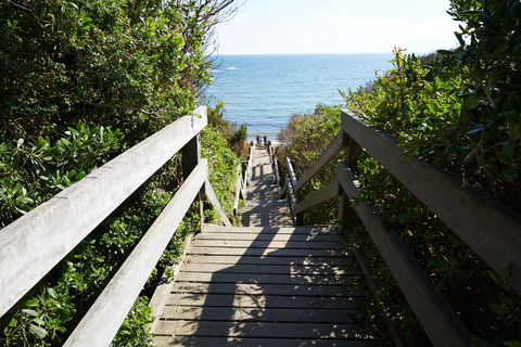 Davey's Bay - Accommodation Gold Coast 1