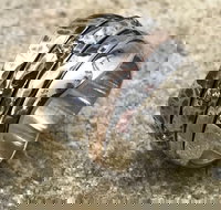 Eclectopia Gifts and Specialty Homewares - Accommodation Gold Coast