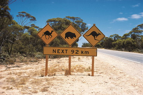 Eyre Highway - 1 Gold Coast 1