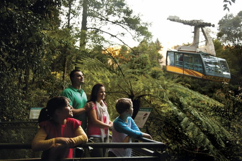 Furber Steps - Accommodation Gold Coast 0