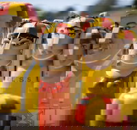 Geelong - Accommodation Gold Coast