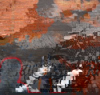 Geelong Street Art - Accommodation Gold Coast