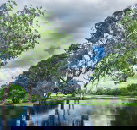 Gold Coast Regional Botanic Gardens - Accommodation Gold Coast