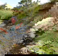 Gold Panning Deep Creek - Accommodation Gold Coast