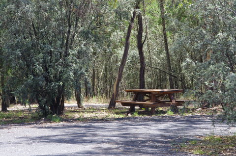 Goonoowigall State Conservation Area - Accommodation Gold Coast 0