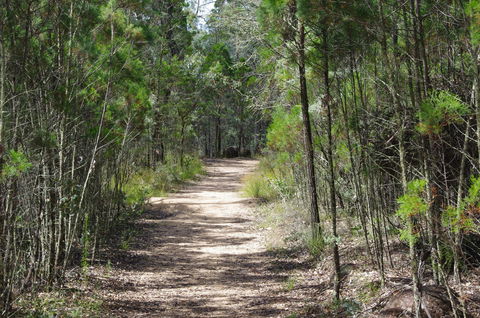 Goonoowigall State Conservation Area - Accommodation Gold Coast 1