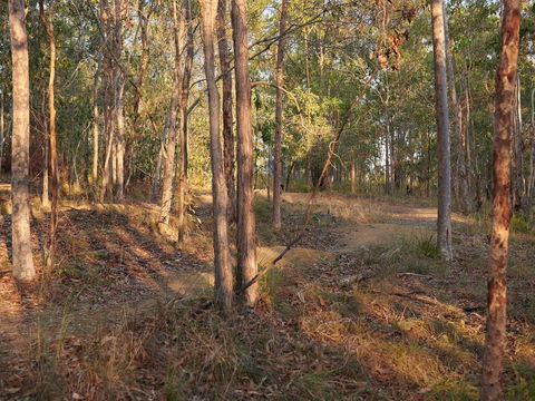 Grande Park - Accommodation Gold Coast 2