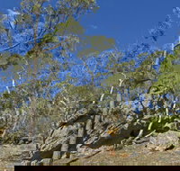 Green track - Accommodation Gold Coast