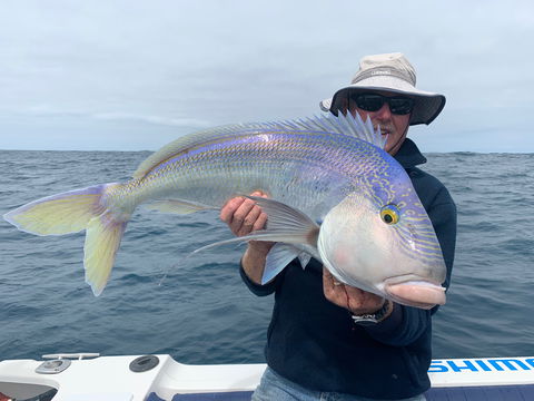 GT Fishing Charters - Gold Coast 4U 1