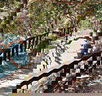 Harbour Bridge to The Spit Bridge Walking Track - Accommodation Gold Coast