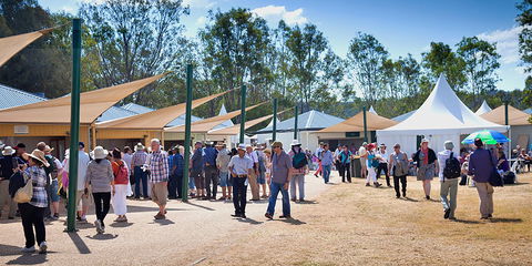 Ivory's Rock Conventions And Events - 1 Gold Coast 2