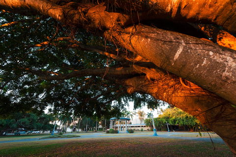 Jubilee Park, Mackay - Accommodation Gold Coast 0