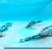 Jurien Bay - Accommodation Gold Coast