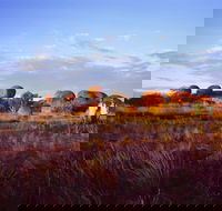 Karlu Karlu / Devils Marbles Conservation Reserve - Accommodation Gold Coast