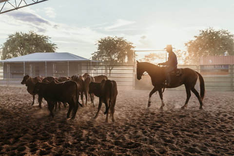 Katherine Outback Experience - Horse Riding Experience - 1 Gold Coast 2