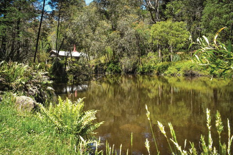 Kurth Kiln Regional Park - Accommodation Gold Coast 0
