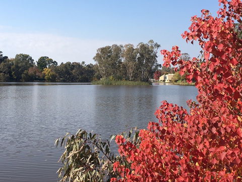 Lake Benalla - Accommodation Gold Coast 1
