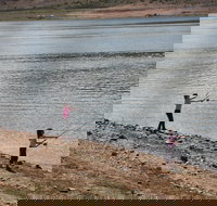 Lake Wyangala - Accommodation Gold Coast