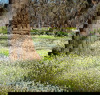 Leaghur State Park - Accommodation Gold Coast