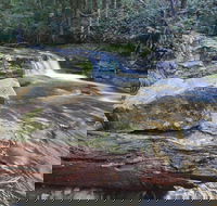 Liffey Falls Reserve - Accommodation Gold Coast
