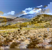 Little Mountain Walking Track - Gold Coast 4U