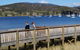 Llama Walks Tasmania - thumb 2