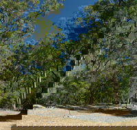 Maidens Tuart Forest - Accommodation Gold Coast