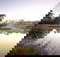 McClelland Sculpture Park  Gallery - Accommodation Gold Coast