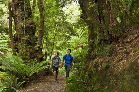 Melba Gully - Accommodation Gold Coast 0