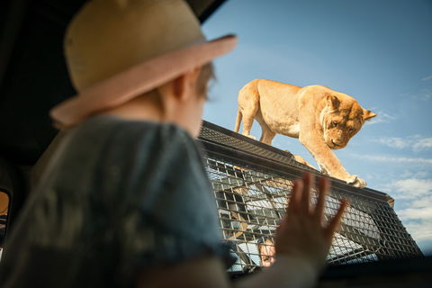 Monarto Safari Park - Gold Coast 4U 2