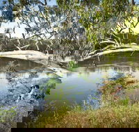 Murray Valley National Park - Gold Coast 4U