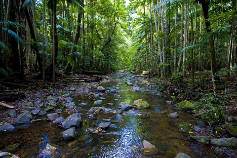 Nambucca Valley - Accommodation Gold Coast 0