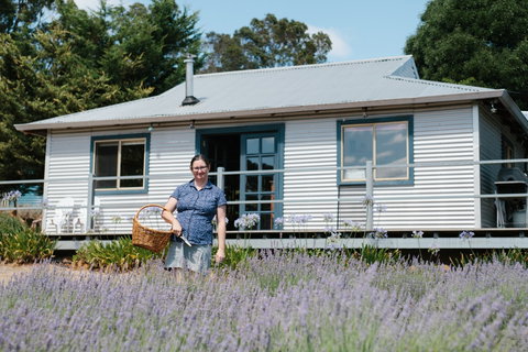Nannup Lavender Farm - Accommodation Gold Coast 1