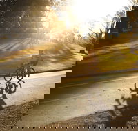 Parramatta River Cycleway - Accommodation Gold Coast
