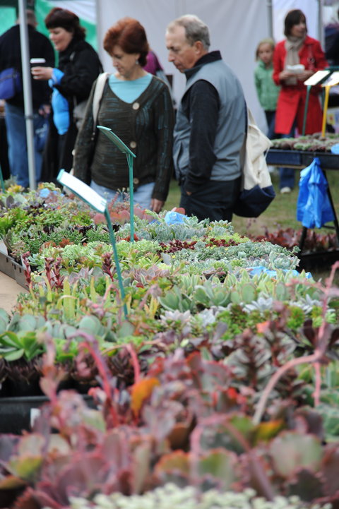 Portsea Market - Accommodation Gold Coast 0