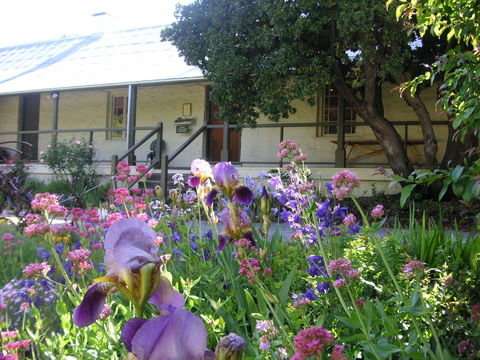 Raglan Gallery And Cultural Centre - Accommodation Gold Coast 0