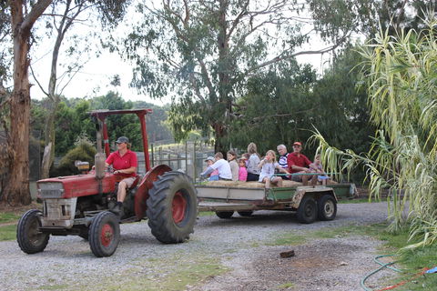 Rain Hayne And Shine Farmyard - Accommodation Gold Coast 1