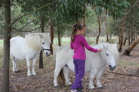 Rain Hayne And Shine Farmyard - Accommodation Gold Coast 2