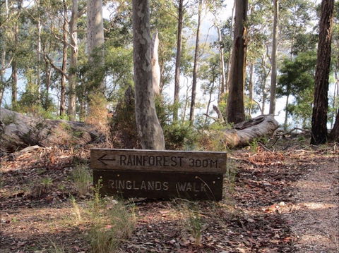 Ringlands Rotary Walk Narooma - Accommodation Gold Coast 0