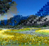 Shearer's Way - Accommodation Gold Coast