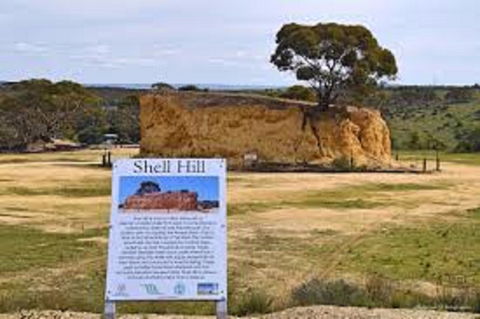 Shell Hill Reserve - Accommodation Gold Coast 0