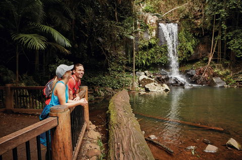 Tamborine National Park - Accommodation Gold Coast 1