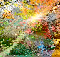 The Blue Mountains Botanic Garden Mount Tomah - Accommodation Gold Coast