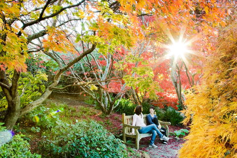The Blue Mountains Botanic Garden, Mount Tomah - Accommodation Gold Coast 0