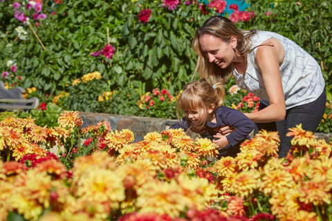 The Blue Mountains Botanic Garden, Mount Tomah - Accommodation Gold Coast 1