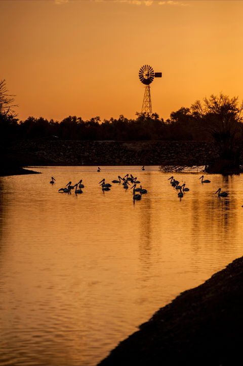 Thomson River, Longreach - 1 Gold Coast 2